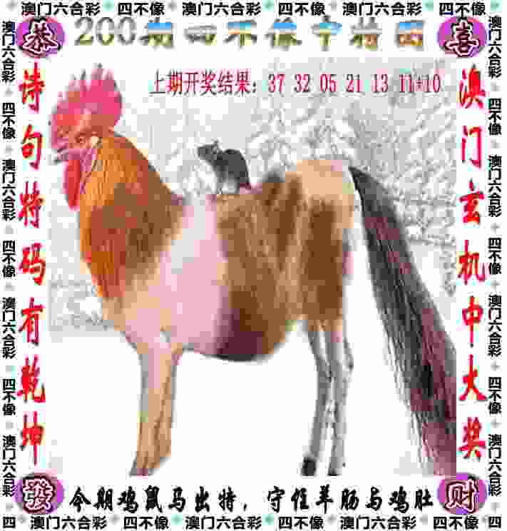 >新门内部资料大全免费查询